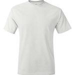 Hanes 5250 Authentic Short Sleeve T-Shirt