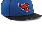 Momentum Team Baseball Cap