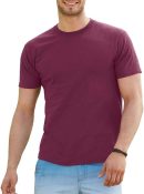 Fruit Of Loom Slim Fit Match Colors Per Unit DTG